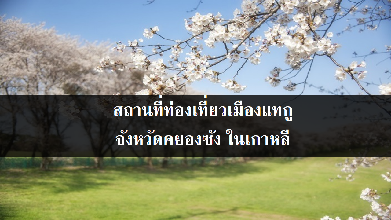 สถานที่ท่องเที่ยวเมืองแทกู จังหวัดคยองซัง ในเกาหลี สถานที่ท่องเที่ยวเมืองแทกู จังหวัดคยองซัง ในเกาหลี