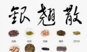 银翘散 银翘散