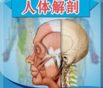 最早的人体解剖学图谱 最早的人体解剖学图谱