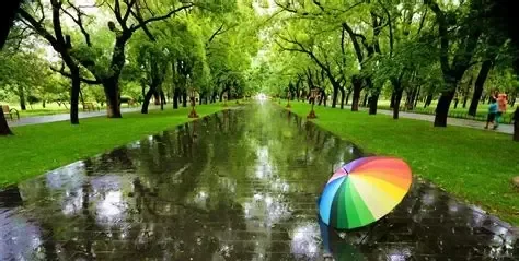 淋雨之后如何不生病？ 陈宝真中医师讲解十个自救妙方！