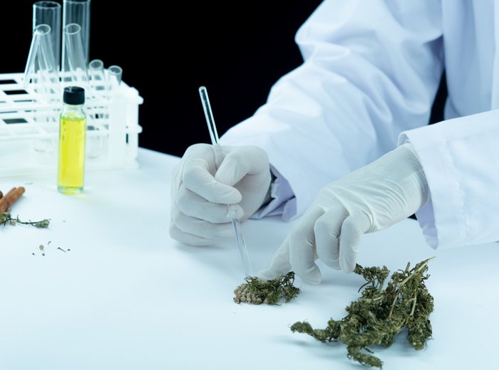 Fundamental Lab Equipment for Cannabis Testing and Extraction