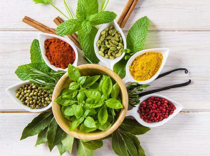 Amazing Thai Herbs: Benefits, Applications, and Regulations that You Should Know 