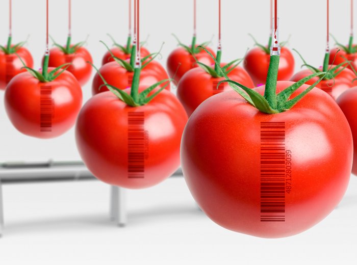 Traceability for Transparency in Food Supply Chain in Thailand