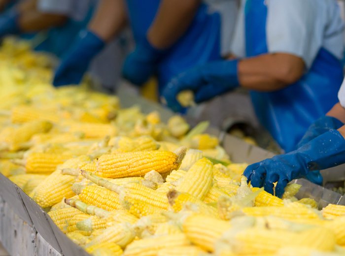 Inspection of Genetically Modified Food Products