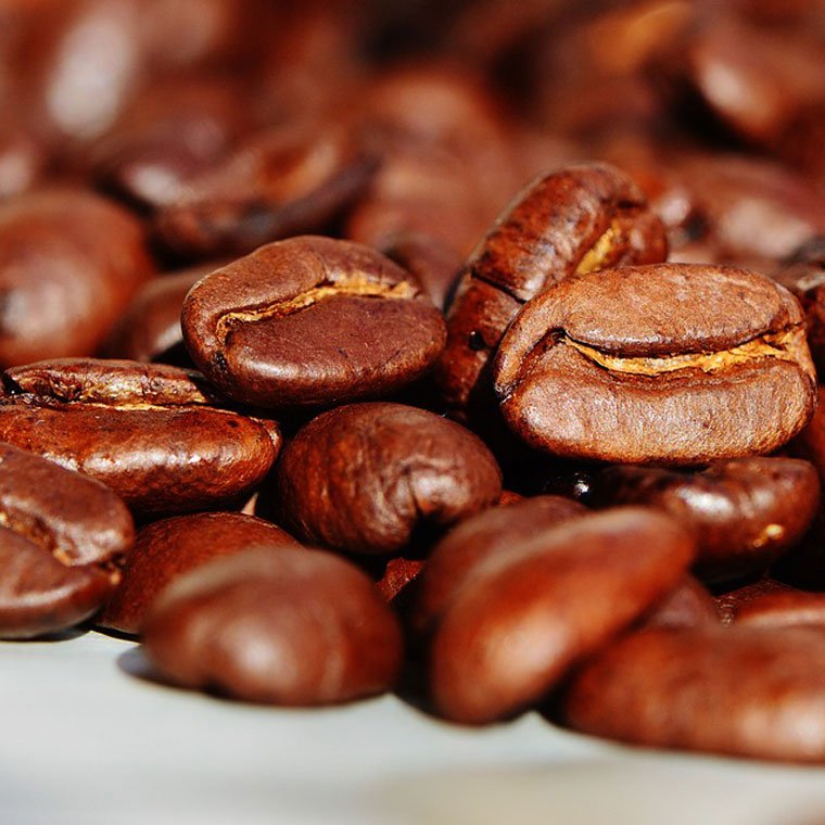 ความรู้เบื้องต้นของกาแฟ Ep.1 - ชนิดของเมล็ดกาแฟ - Koffeetools