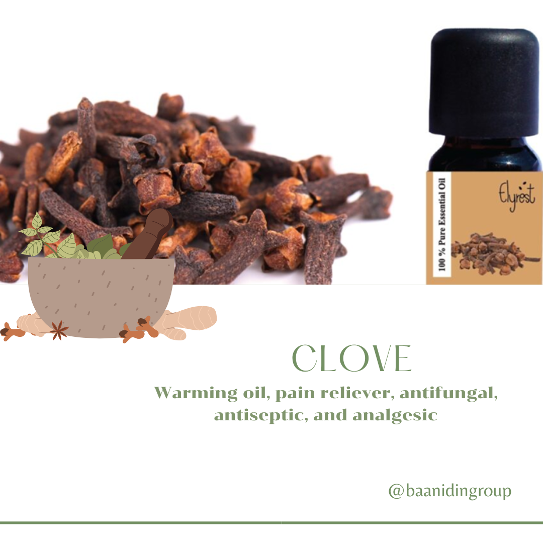 Clove Essential Oil ( Syzygium aromaticum )