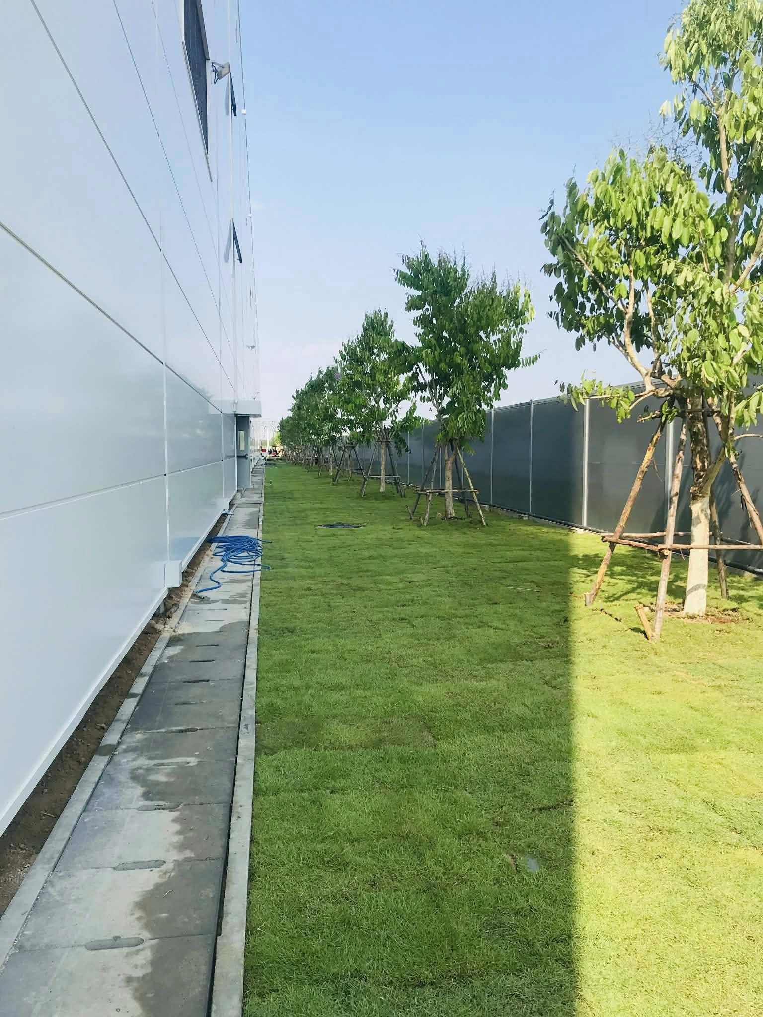 ปลูกต้นไม้โครงการ ปูหญ้านวลน้อย 7050 ตรม. โรงงาน จ.สมุทรปราการ