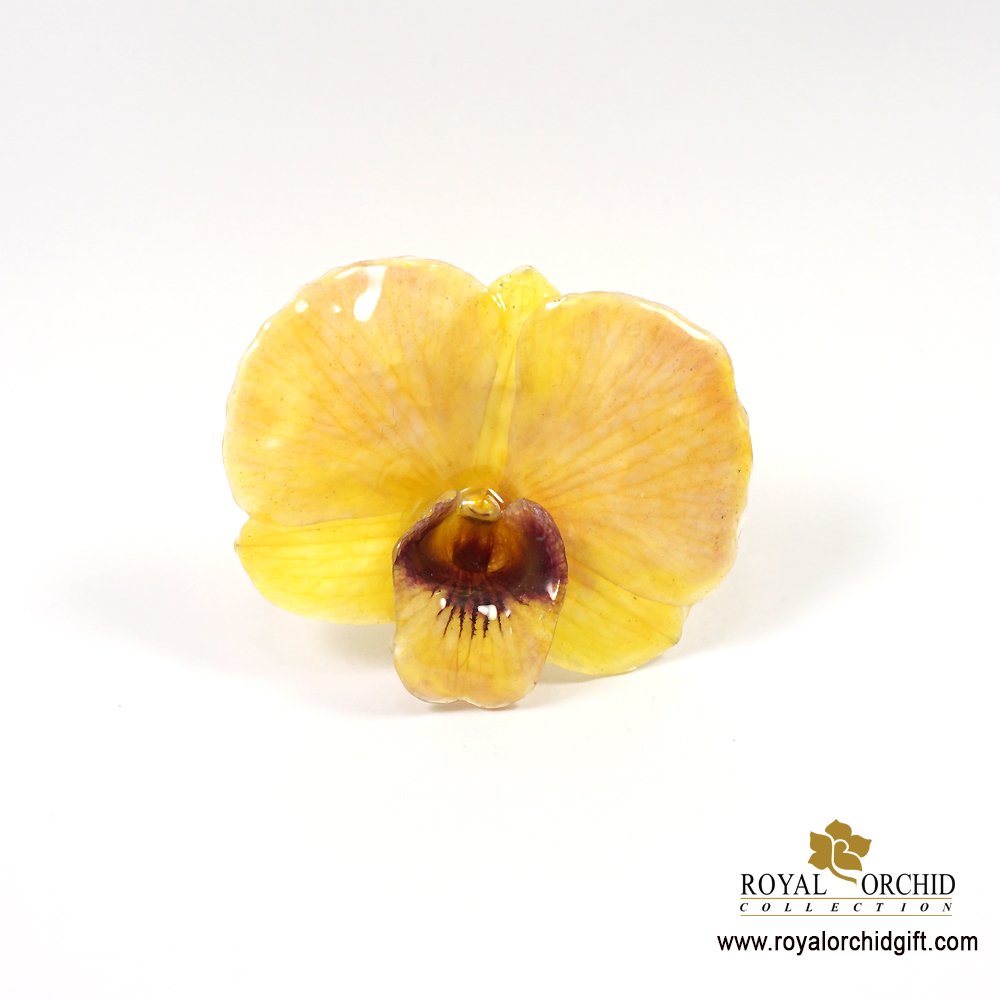 เข็มกลัดดอกกล้วยไม้สกุลหวายเดนโดรเบียม / Dendrobium Orchid Brooch
