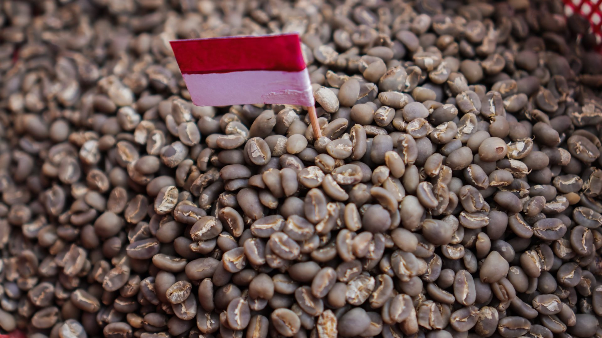 Indonesia's Coffee Beans: A Journey from Farm to Cup