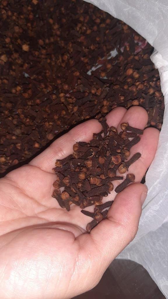 Discover the Aromatic Lalpari Cloves from Indonesia noesantaraheritage