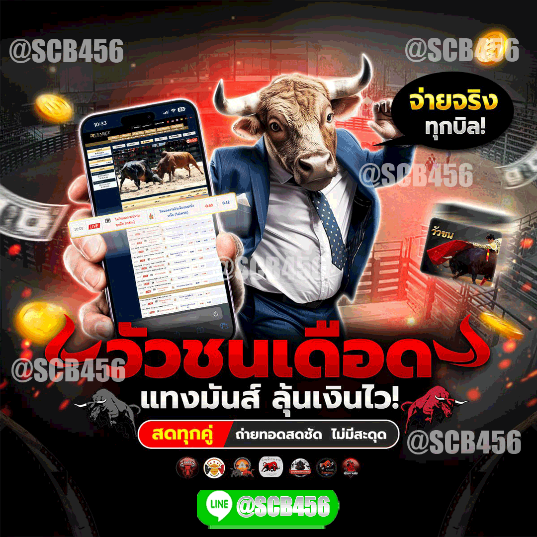 วัวชนเดือด