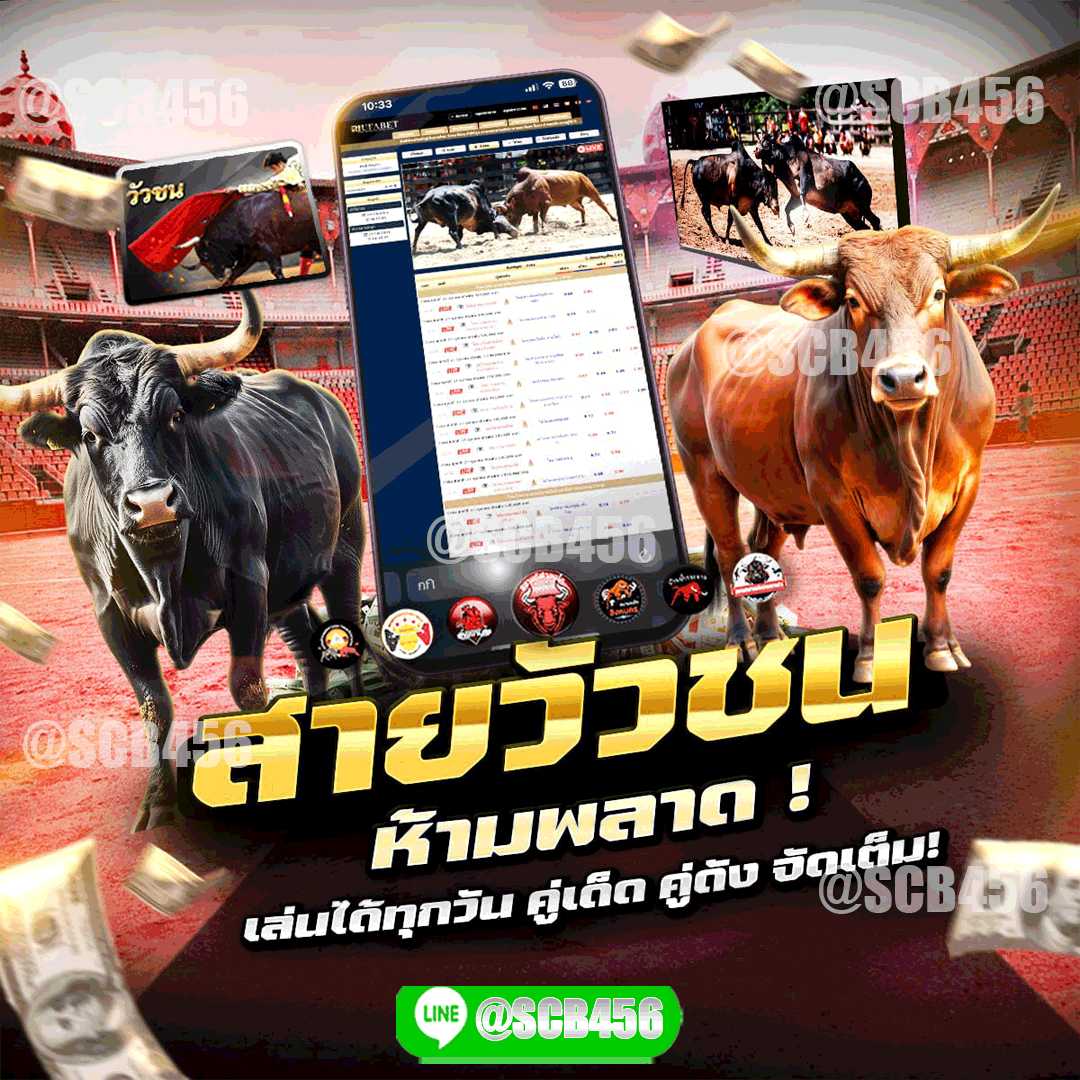 สายวัวชน