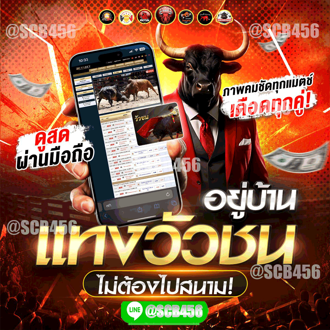 แทงวัวชน