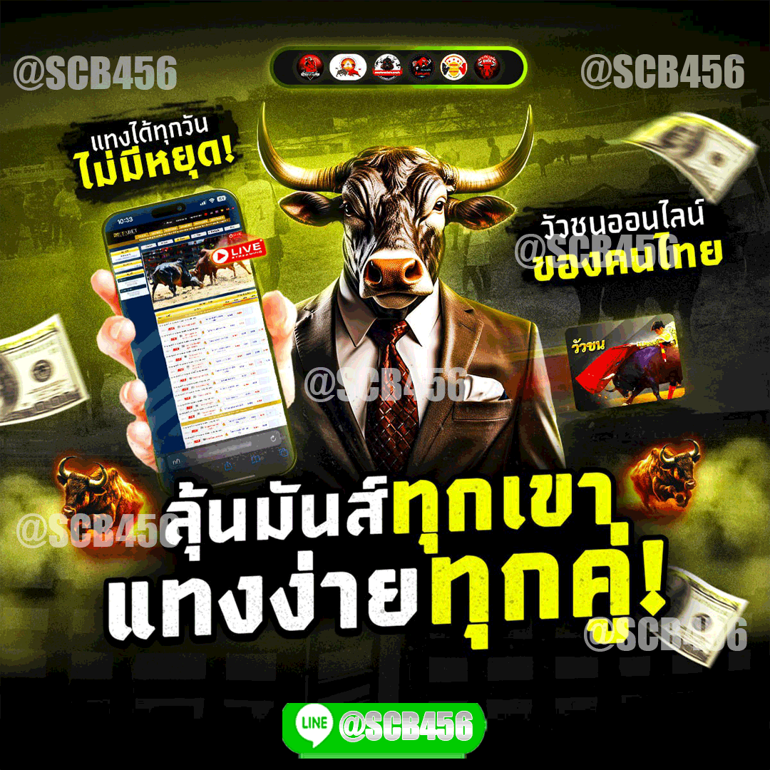 วัวชนอออนไลน์
