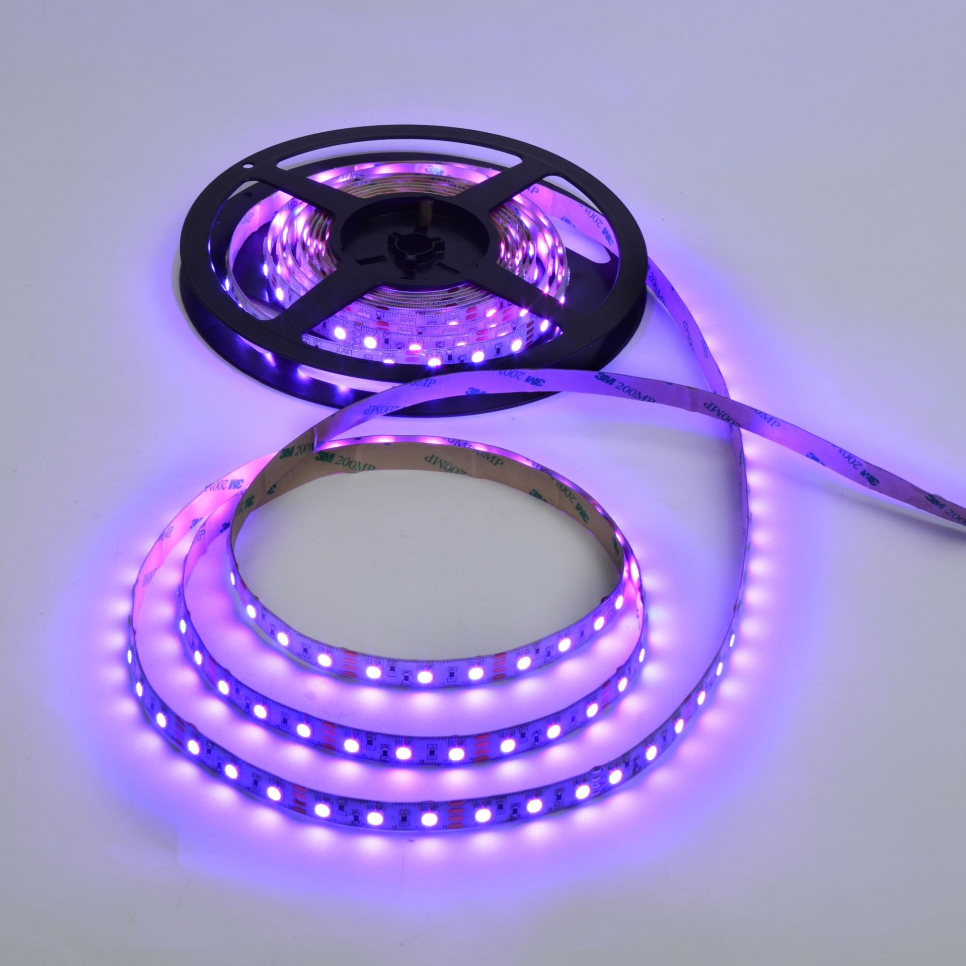 NEON LIGHT