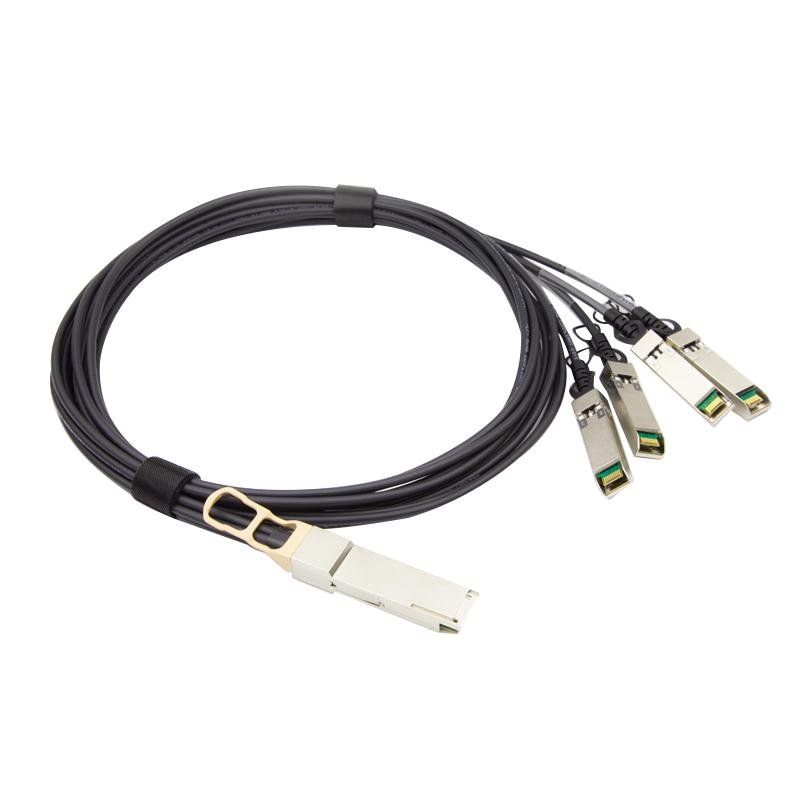 Direct Attach Cable - swsgroup