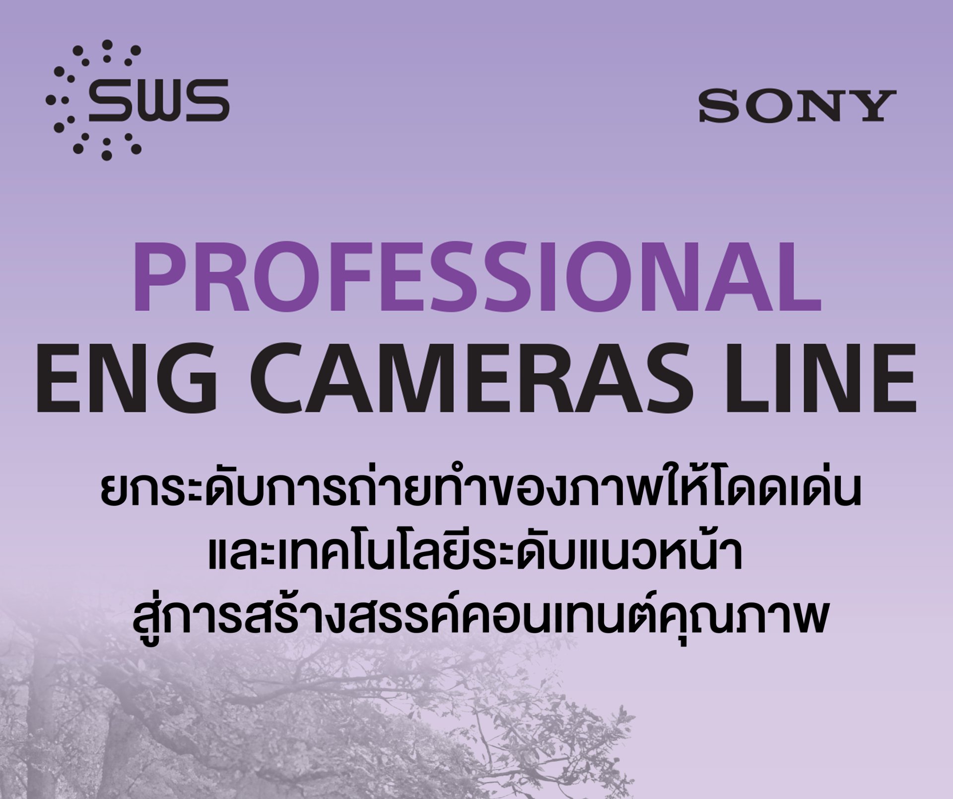 PROFESSIONAL ENG CAMERAS LINE