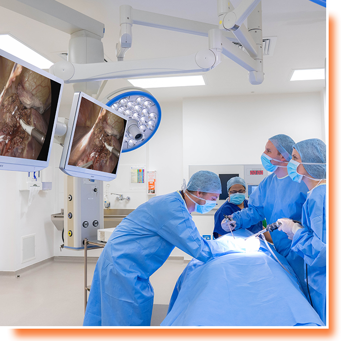 SONY 4K Solutions for Endoscopic Procedures