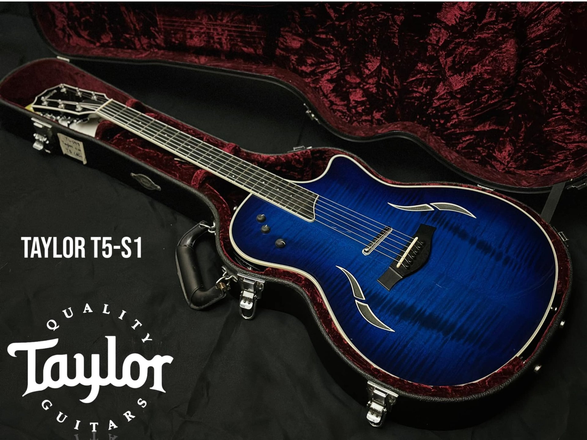 Taylor T5-S1 Hollo Body
