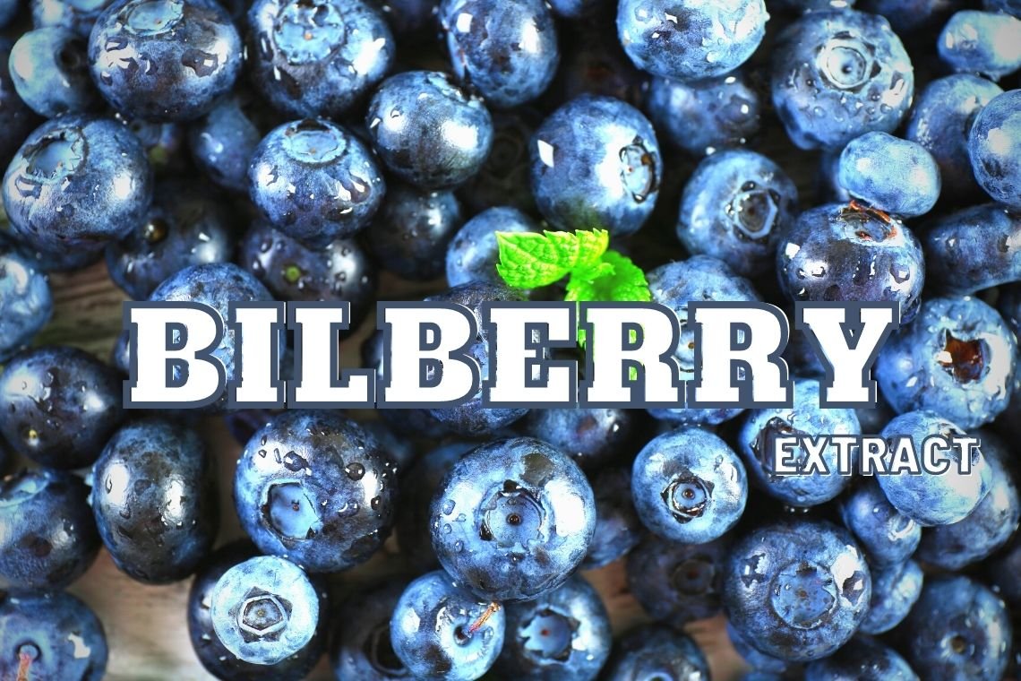 โรงงานผลิตอาหารเสริมจากสารสกัดบิลเบอร์รี่ (Bilberry Extract)