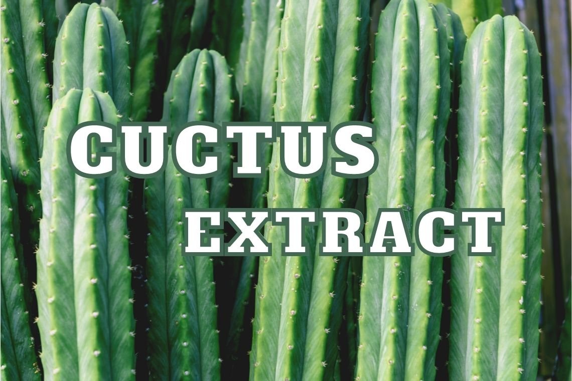 สารสกัดลดน้ำหนักและดีท็อกซ์จากกระบองเพชร