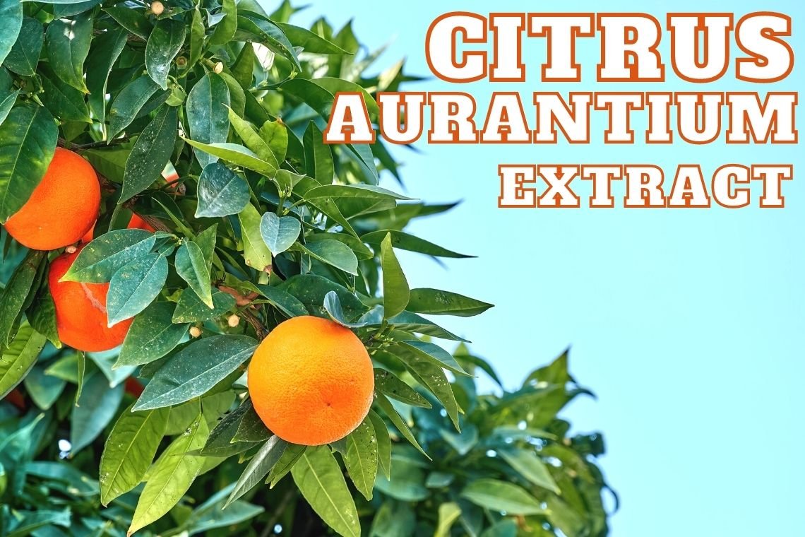 สารสกัดลดน้ำหนักและดีท็อกซ์จากส้ม