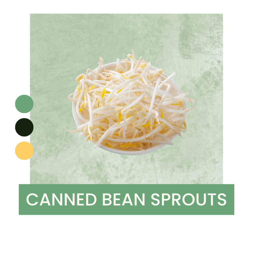 CANNED BEAN SPROUTS delicathai