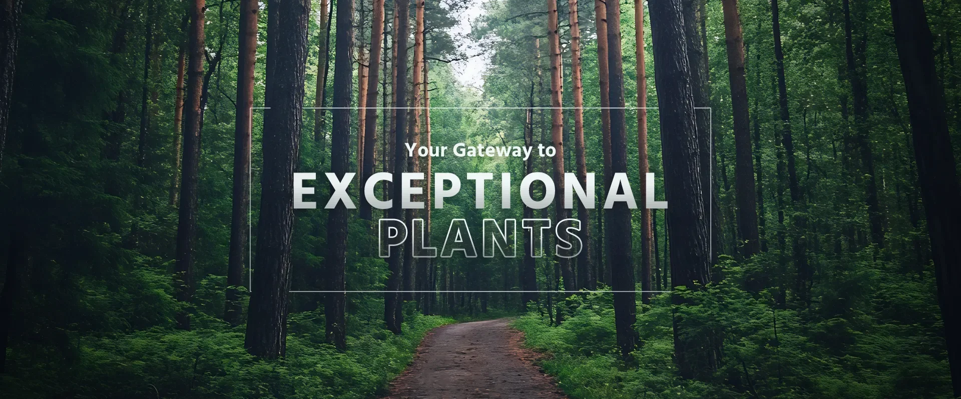 bannerviridian bannerviridian