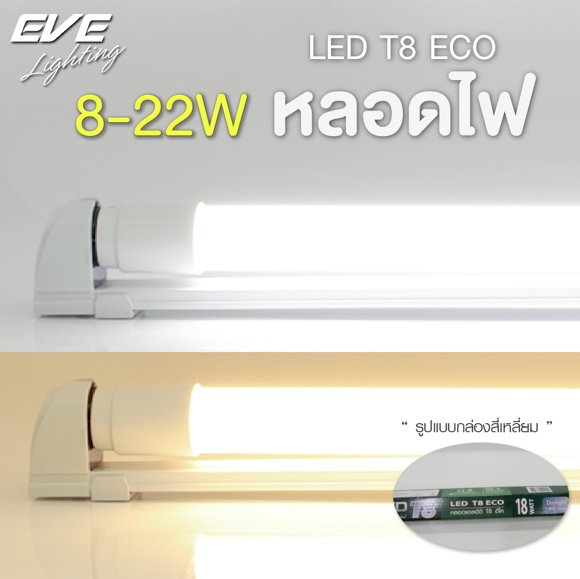 หลอดแอลอีดี T8 ชนิดไฟเข้าสองทาง แสงขาวเดย์ไลท์ และแสงเหลืองวอร์มไวท์ รับประกัน 2 ปี LED T8 ECO