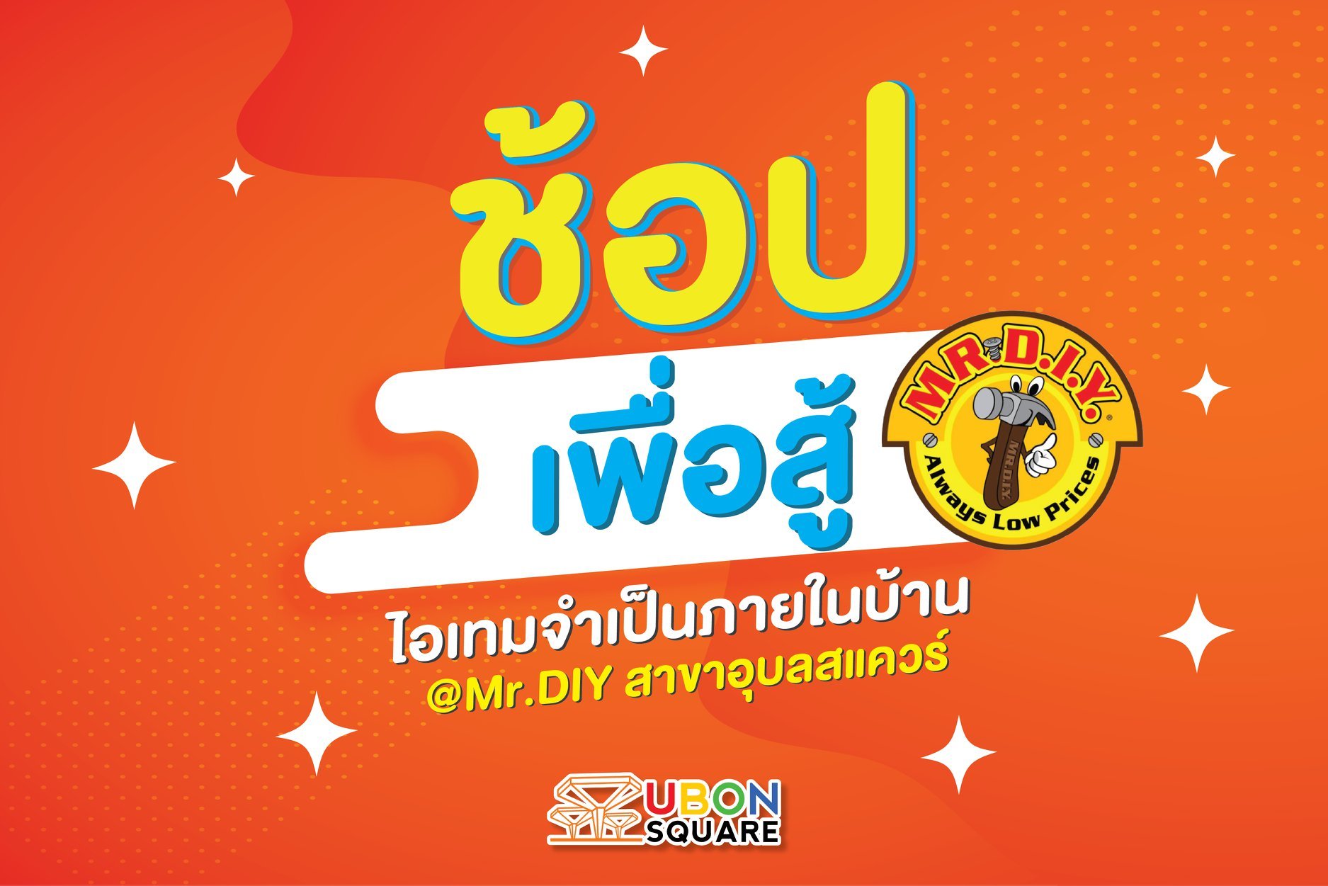 DIY ช้อปเพื่อสู้