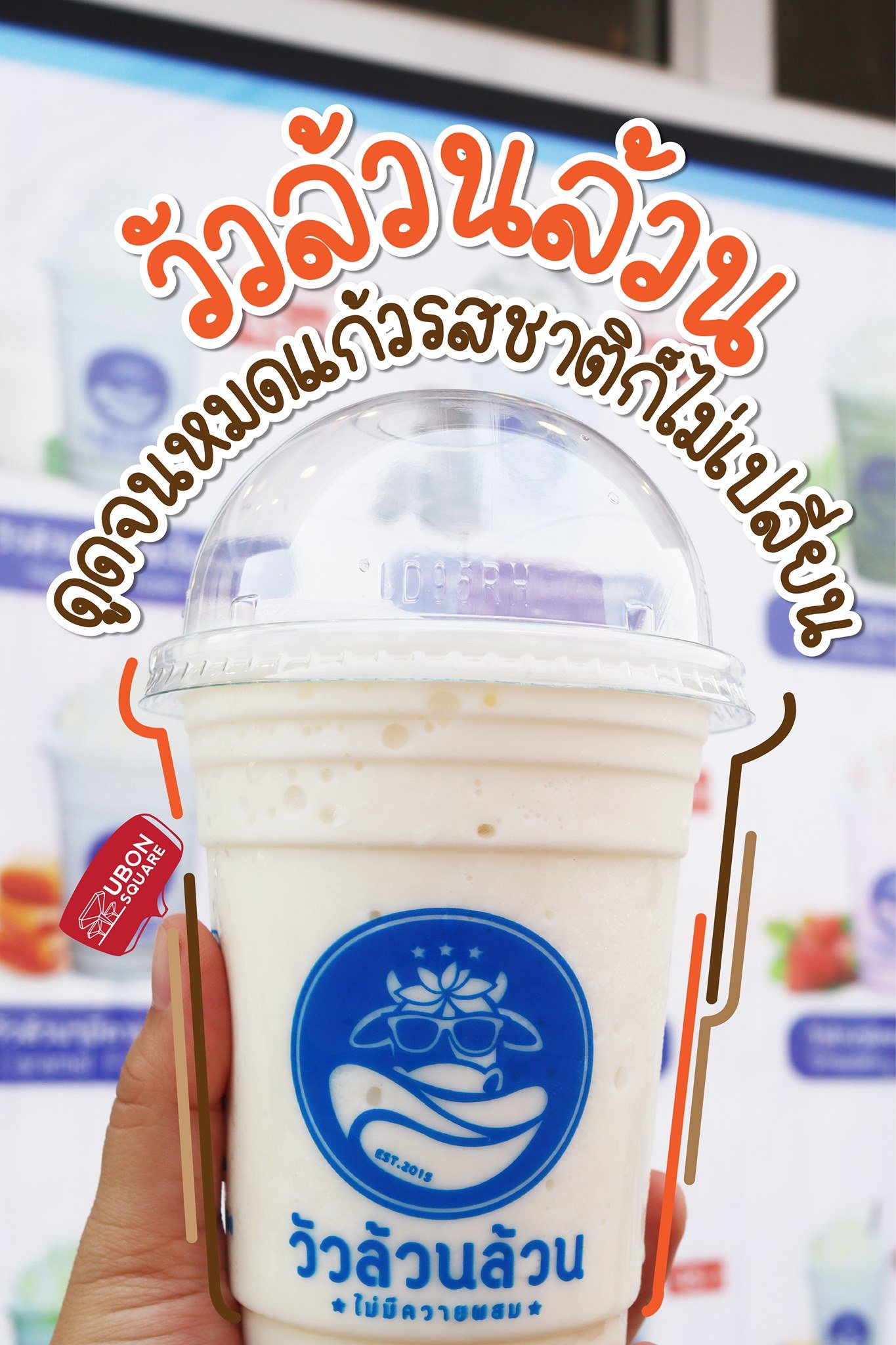 วัวล้วนล้วน