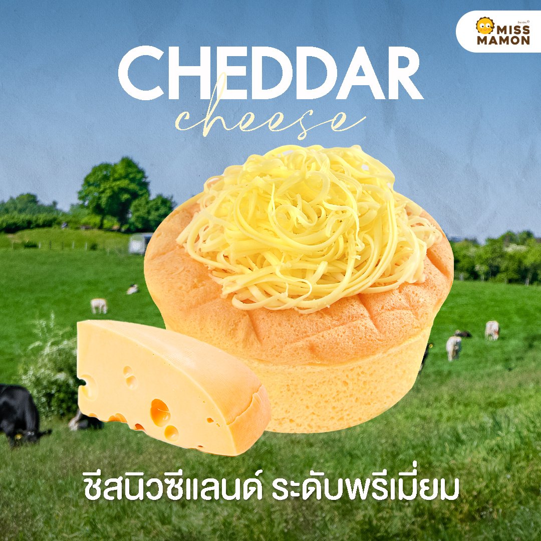 เชดดา ชีส (Cheddar Cheese)  ชีสนิวซีแลนด์ระดับพรีเมี่ยม 
