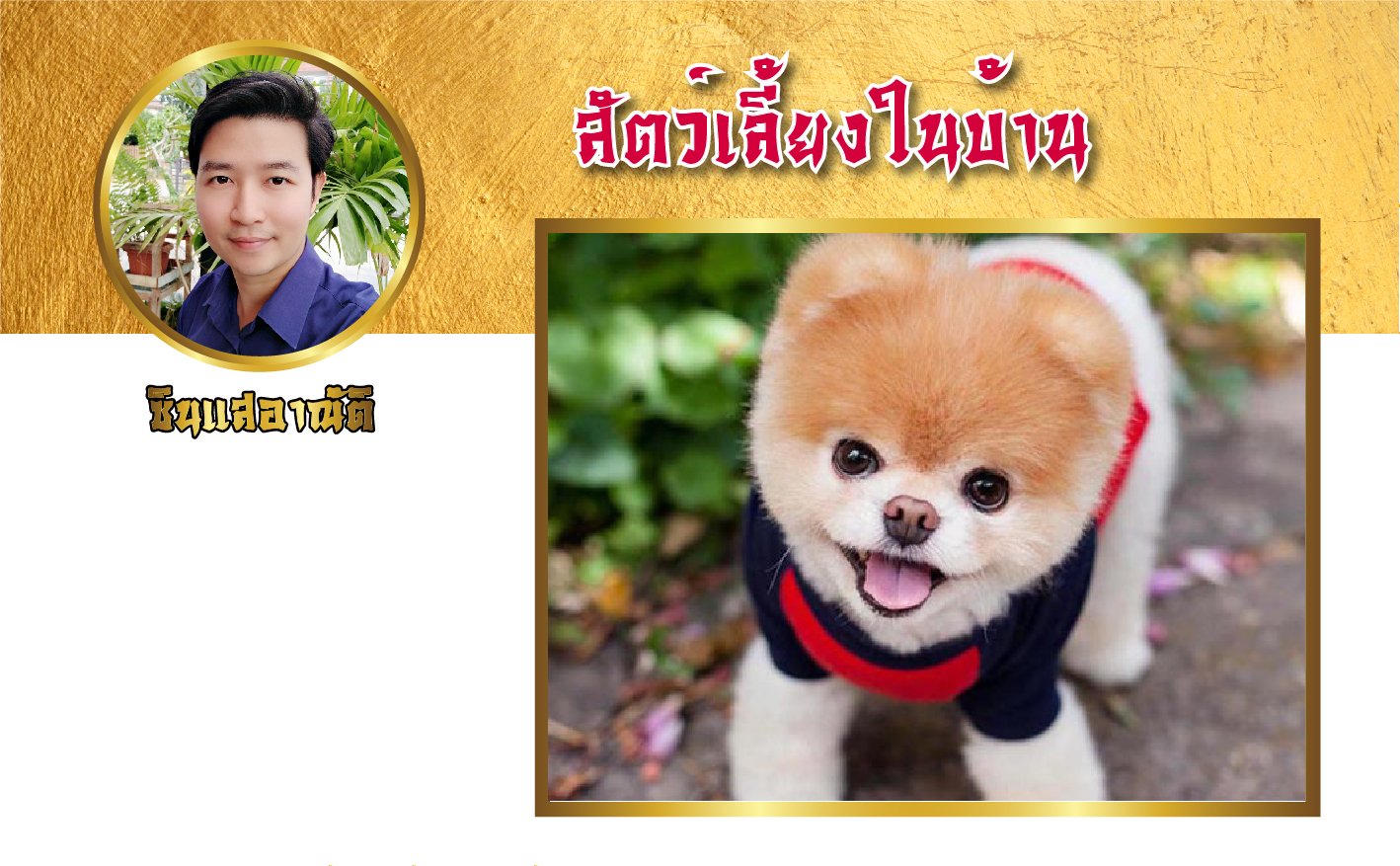 สัตว์เลี้ยงในบ้าน มีผลอย่างไรต่อฮวงจุ้ย สัตว์เลี้ยงในบ้าน มีผลอย่างไรต่อฮวงจุ้ย