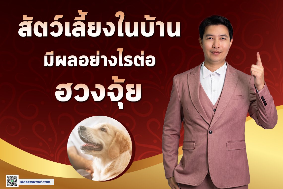 สัตว์เลี้ยงในบ้าน มีผลอย่างไรต่อฮวงจุ้ย สัตว์เลี้ยงในบ้าน มีผลอย่างไรต่อฮวงจุ้ย