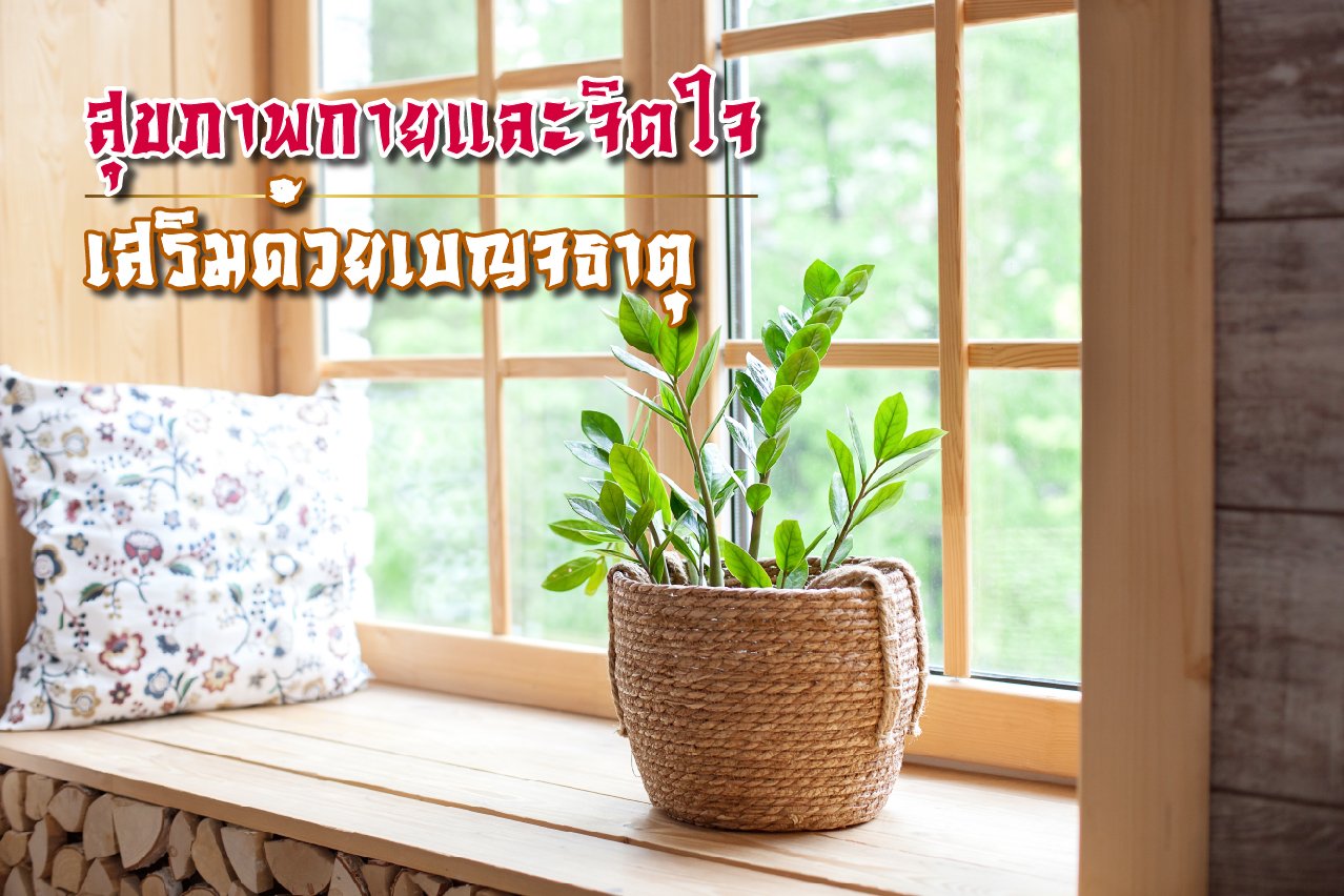 สุขภาพและจิตใจ มีผลสืบเนื่องมาจากหลักพลังงาน เบญจธาตุ สุขภาพและจิตใจ มีผลสืบเนื่องมาจากหลักพลังงาน เบญจธาตุ