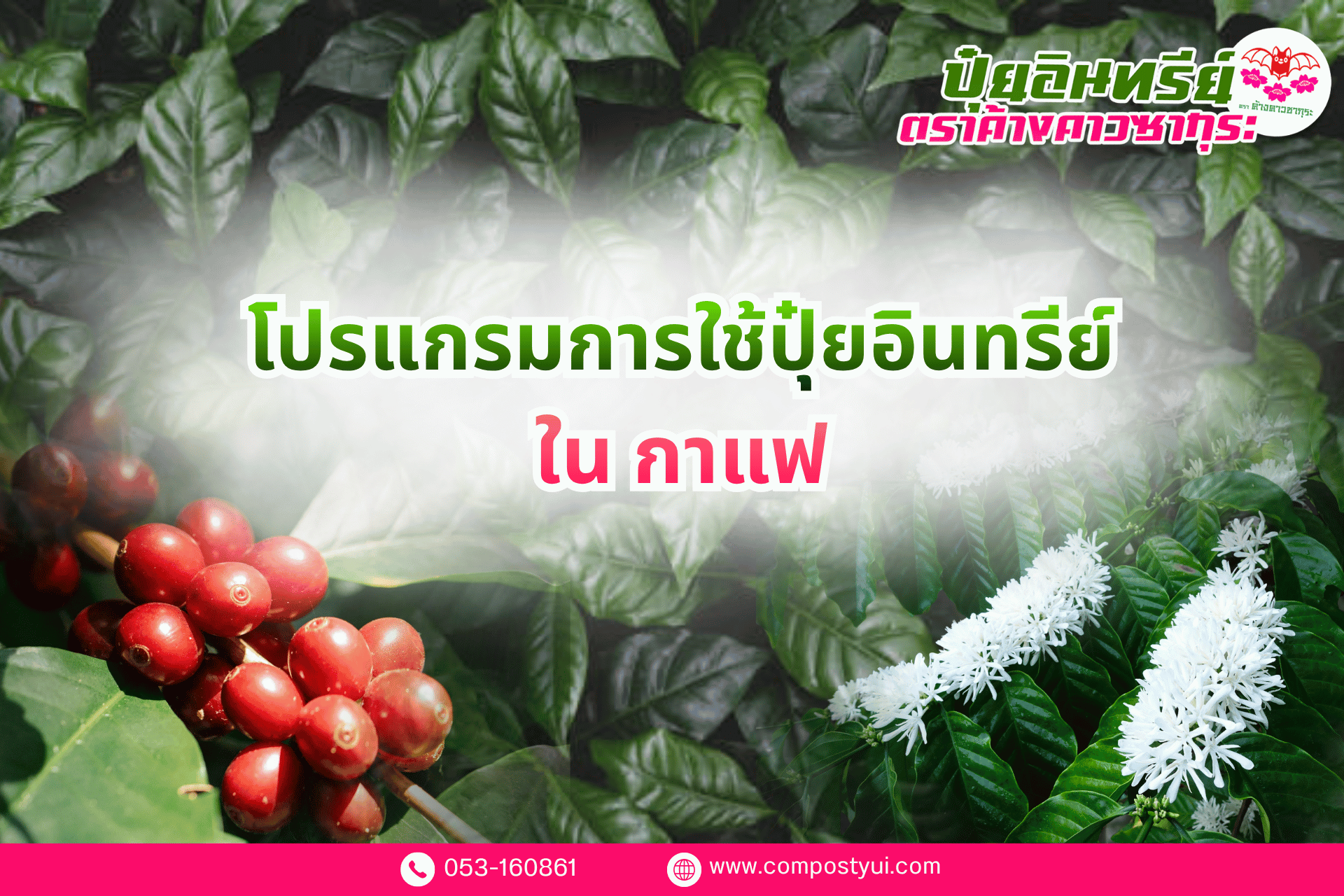 การใช้ปุ๋ยอินทรีย์ ใน กาแฟ เพื่อเพิ่มคุณภาพผลผลิต