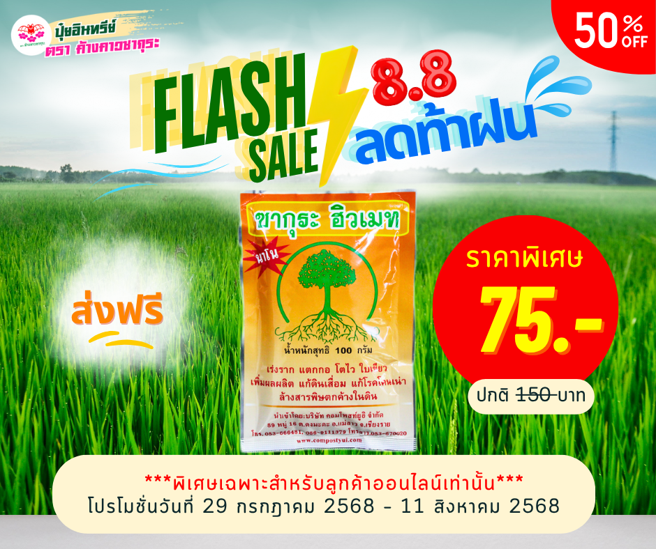 FLASH SALE 8.8 ลดท้าฝน ลดสูงสุด 50% FLASH SALE 8.8 ลดท้าฝน ลดสูงสุด 50%