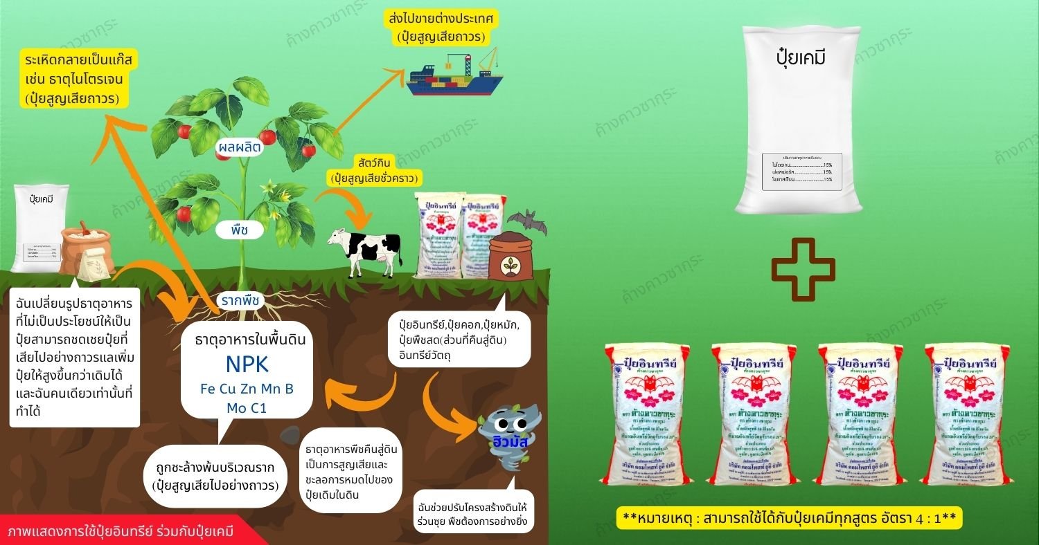 ปุ๋ยเคมีใช้ร่วมกับปุ๋ยอินทรีย์ทำไมถึงดีที่สุด❓ ปุ๋ยเคมีใช้ร่วมกับปุ๋ยอินทรีย์ทำไมถึงดีที่สุด❓