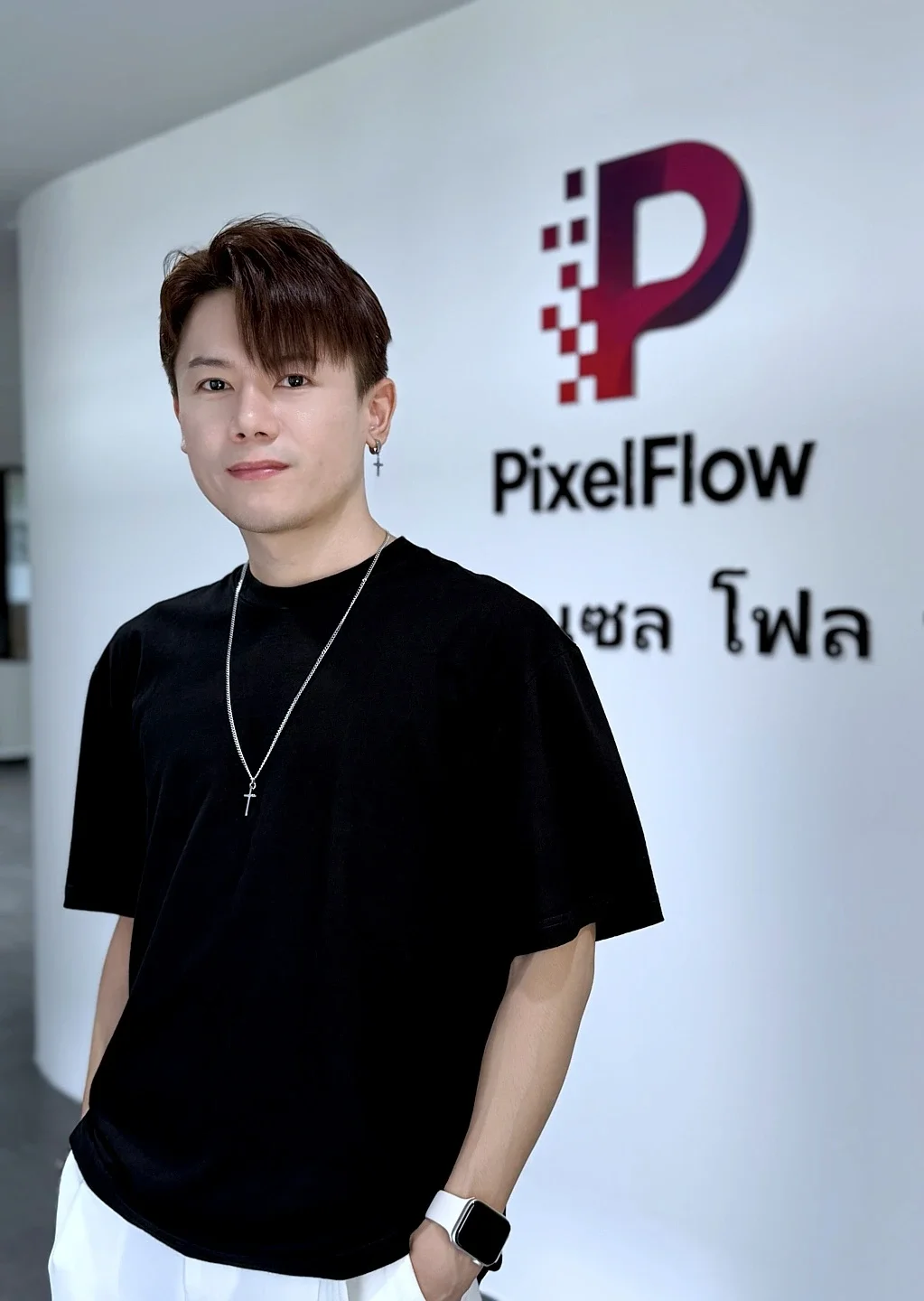 Pixel Flow TEAM