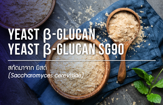Yeast beta glucan / ยีสต์ เบต้า กลูแคน