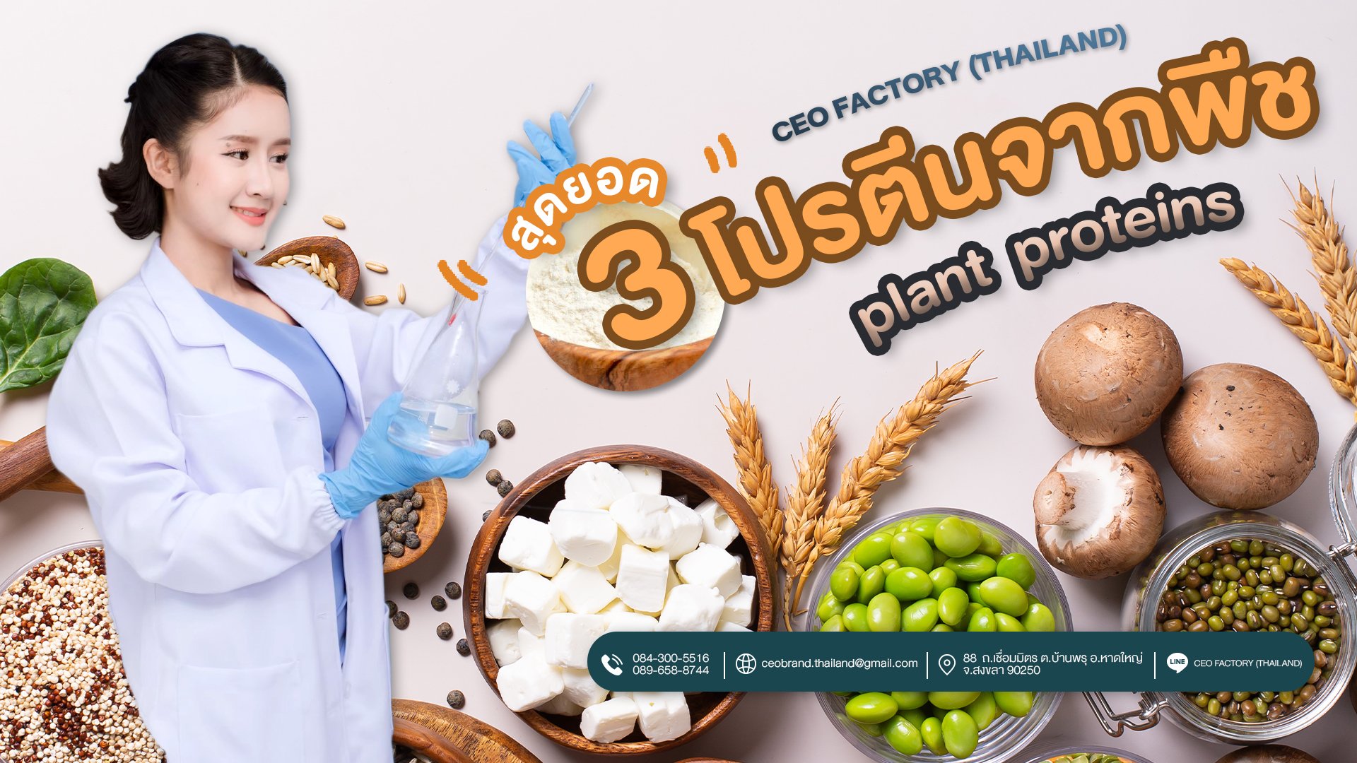 3 สุดยอดโปรตีนจากพืช Plant  Protein