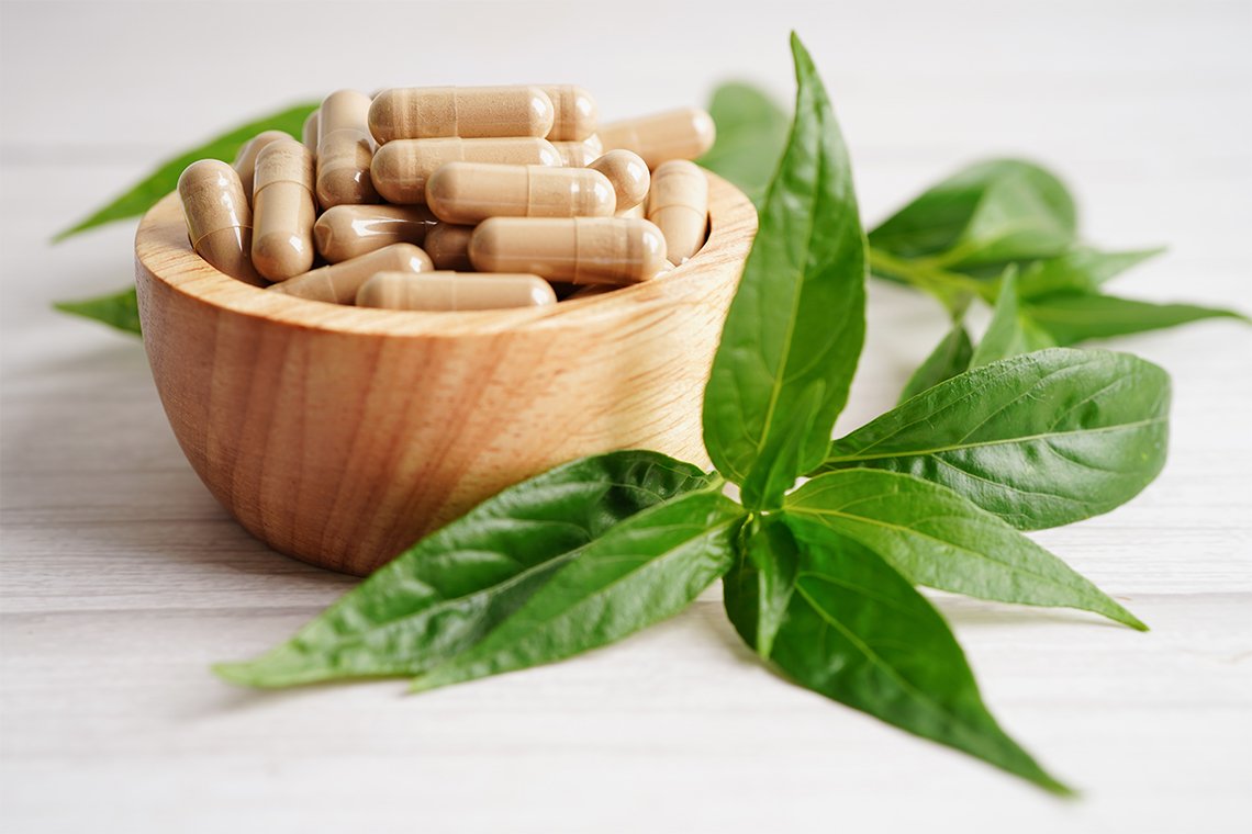 Andrographis Paniculata Extract สารสกัดฟ้าทะลายโจร