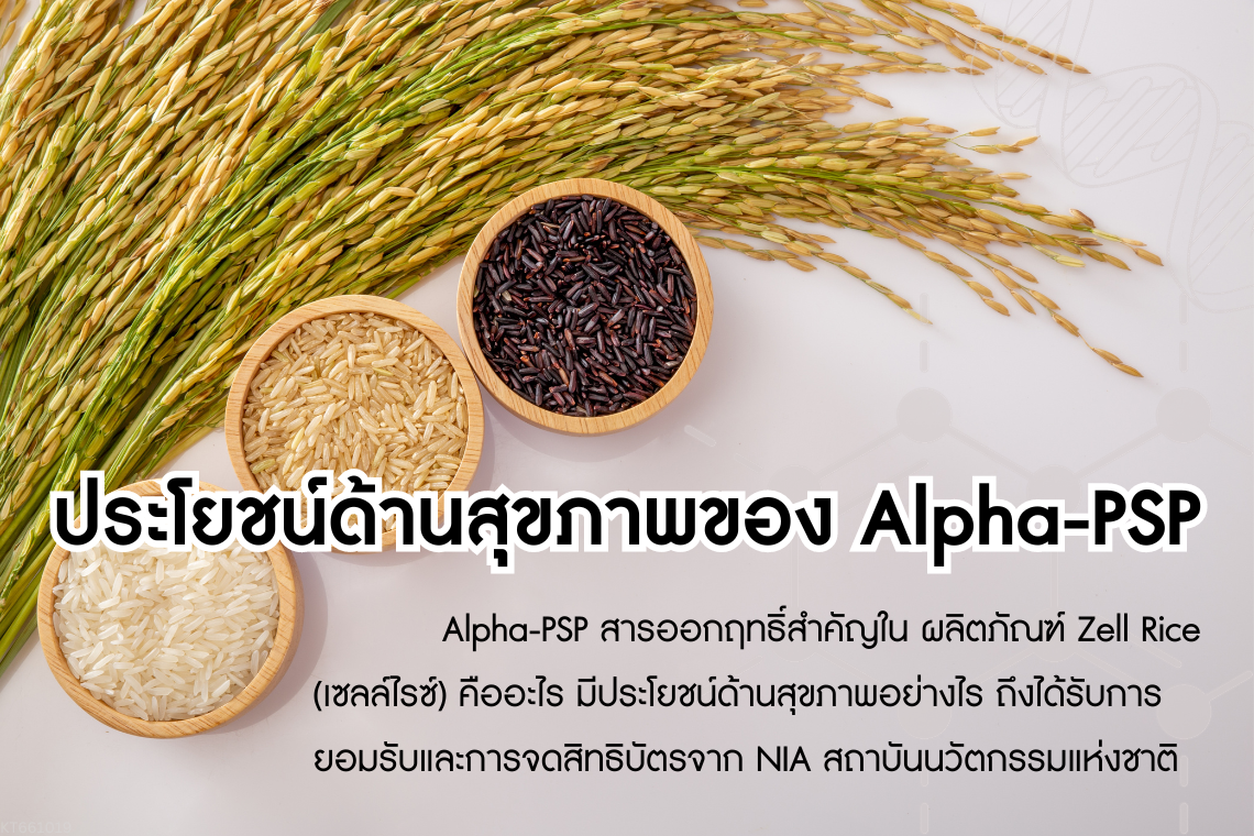 ประโยชน์ด้านสุขภาพของ Alpha-PSP สารออกฤทธิ์สำคัญในผลิตภัณฑ์เซลล์ไรซ์ (ZELL RICE)