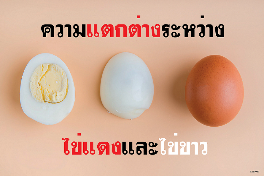 ประโยชน์ที่แตกต่างระหว่างไข่แดงกับไข่ขาว