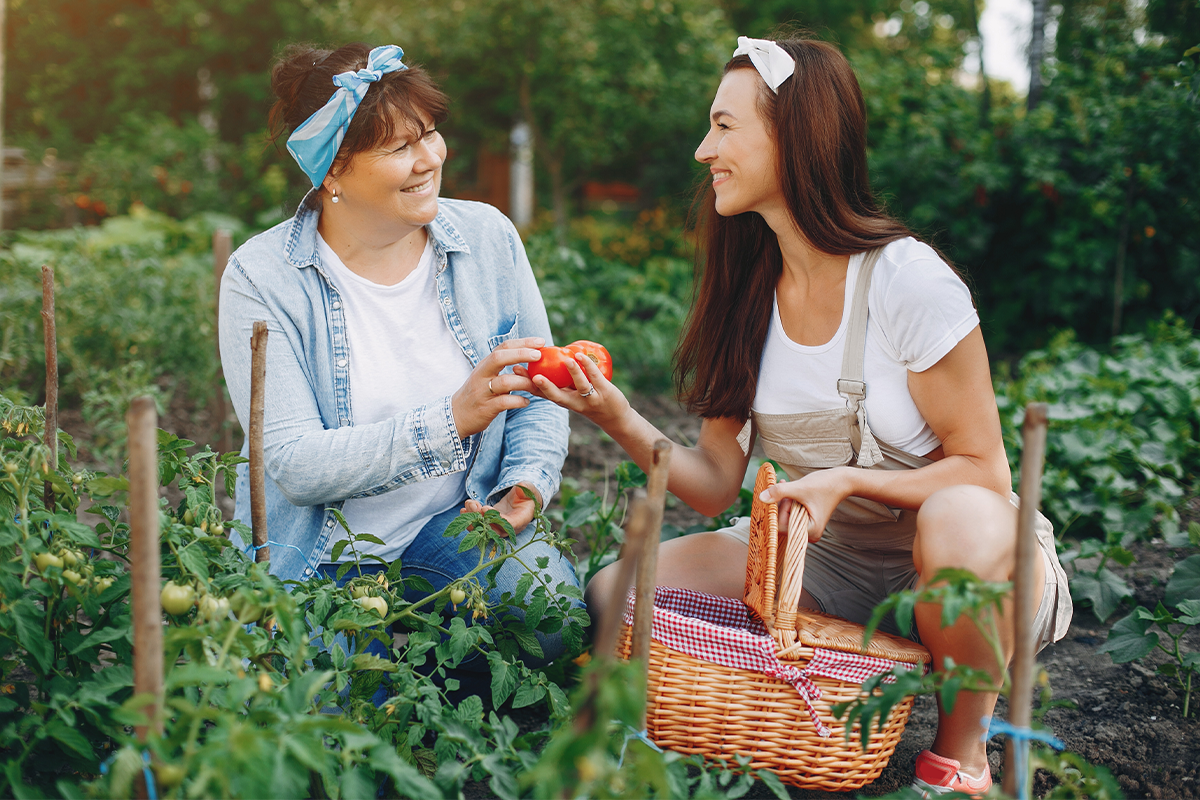 Top 7 Organic and Sustainable  Living Blogs to Follow Top 7 Organic and Sustainable  Living Blogs to Follow