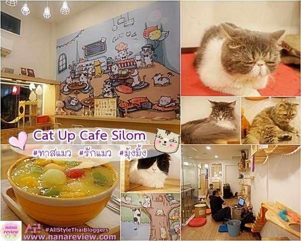 Cat Up Cafe Silom 