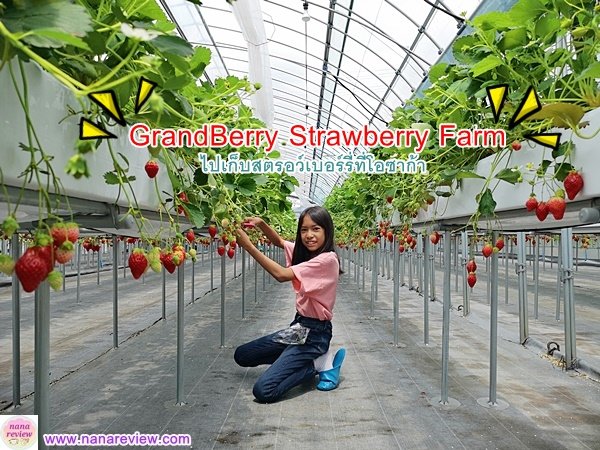 Grandberry Farm Osaka