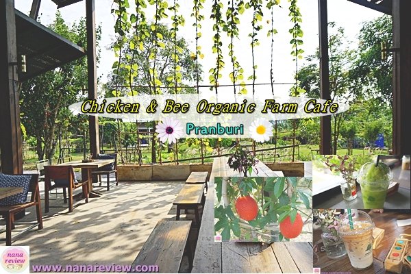 Chicken & Bee Organic Farm Pranburi