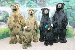 TEDDY ISLAND PATTAYA