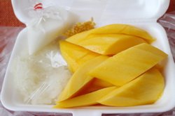 Pa Jue Kao Nieo Ma Muang Hua Hin